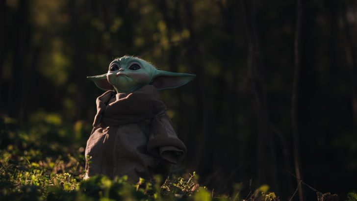 Baby Yoda: Did He Appear In Any Star Wars Movies?