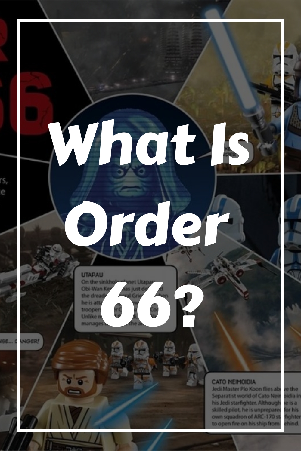 What Is Order 66 generated pin 57956