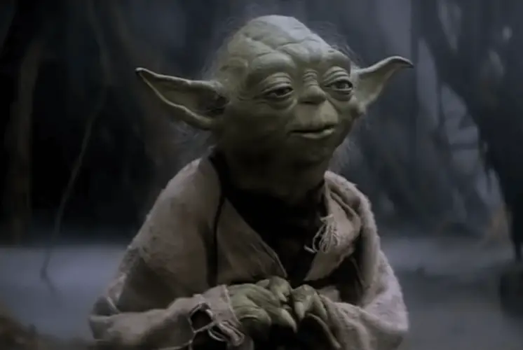 Yoda in swamp